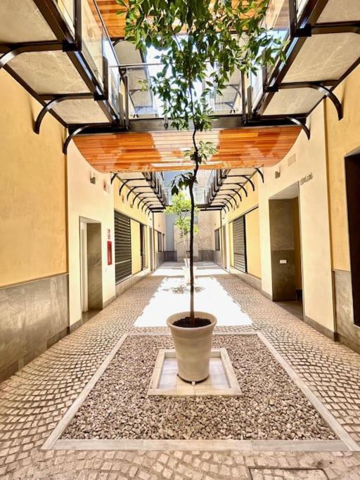 Hispalis Patio Del Rinconcillo Séville Extérieur photo